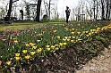 messer tulipano 2019 Inaugurazione_301